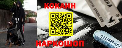 стаф Дубна