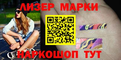 стаф Дубна