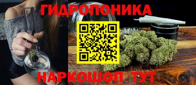 стаф Дубна