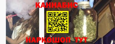 стаф Дубна