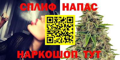 стаф Дубна