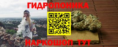 дживик Донецк