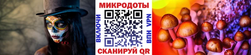 МЕГА ONION  Ярославль  Псилоцибиновые грибы Magic Shrooms 