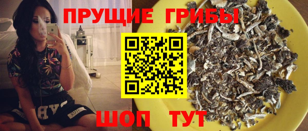 Псилоцибиновые грибы GOLDEN TEACHER  Вход с VPN  Ярославль 