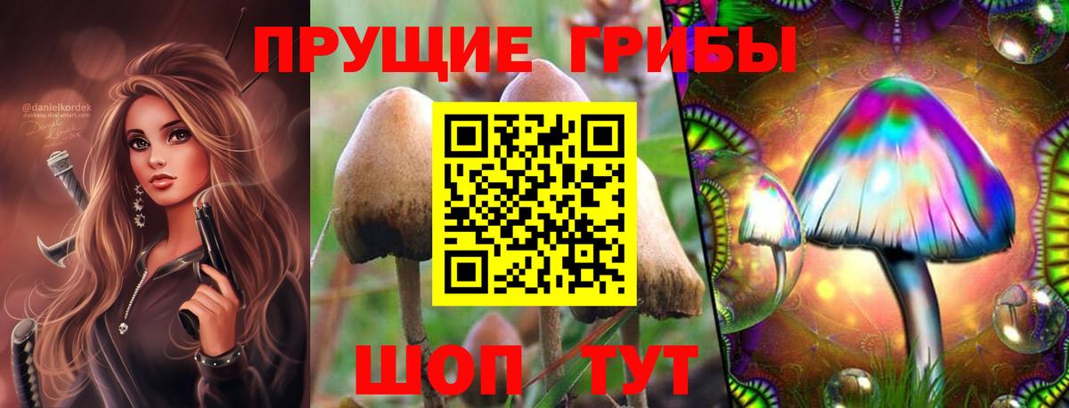Галлюциногенные грибы Psilocybine cubensis Ярославль